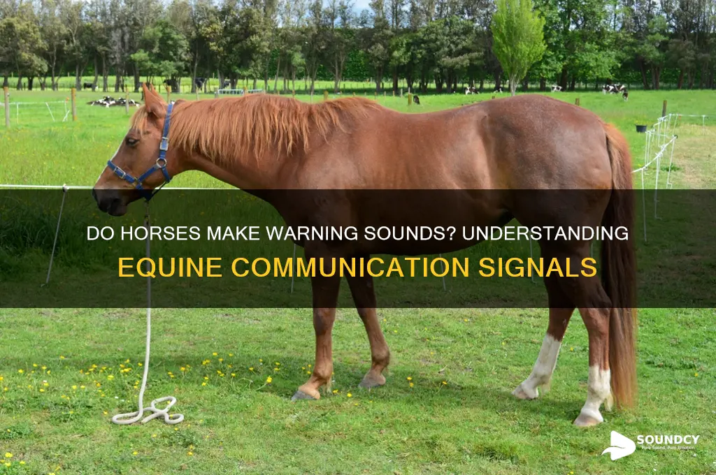 does horse make warning sounds