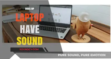 Does Your HP Laptop Have Sound? Troubleshooting Audio Issues