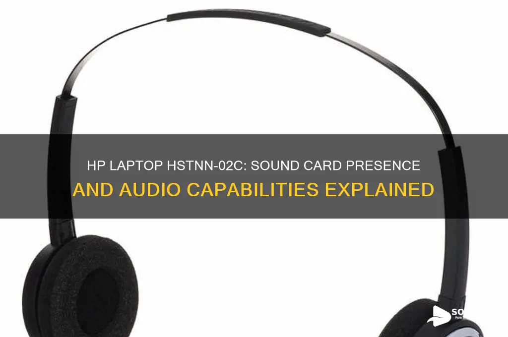 does hp laptop model hstnn-02c have sound card