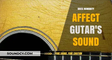 How Humidity Changes Guitar Sounds