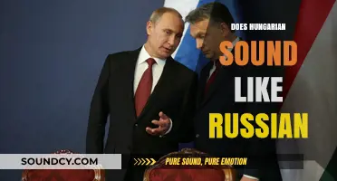 Does Hungarian Sound Like Russian? Exploring Language Similarities and Differences