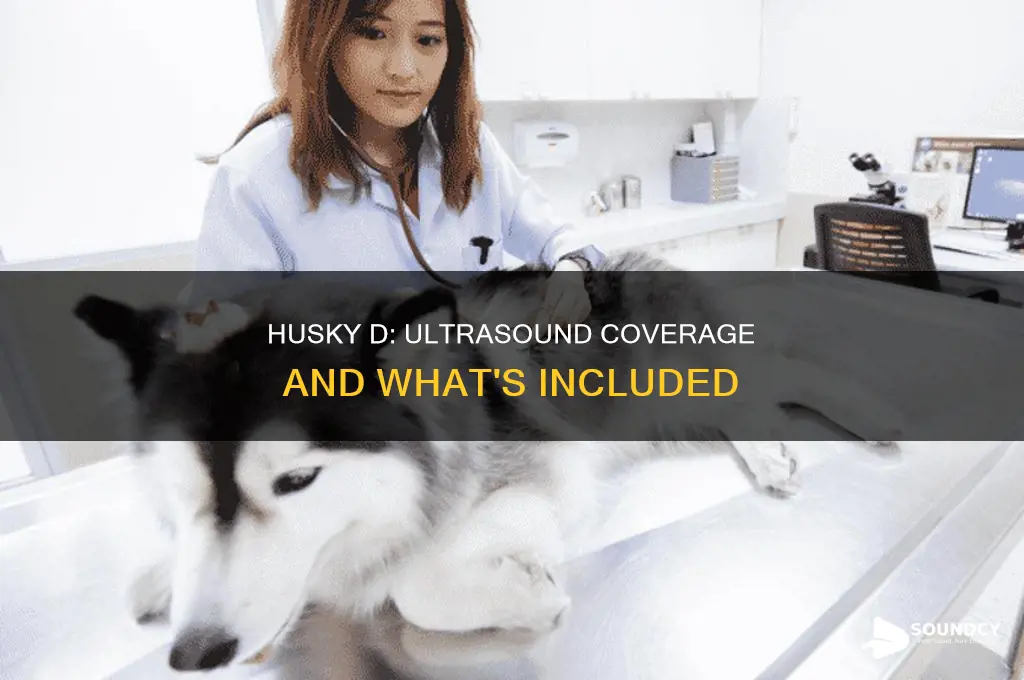 does husky d cover ultra sounds