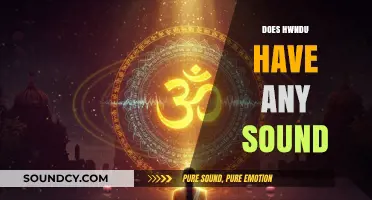 Exploring Hinduism: Unveiling the Role of Sound in Its Practices