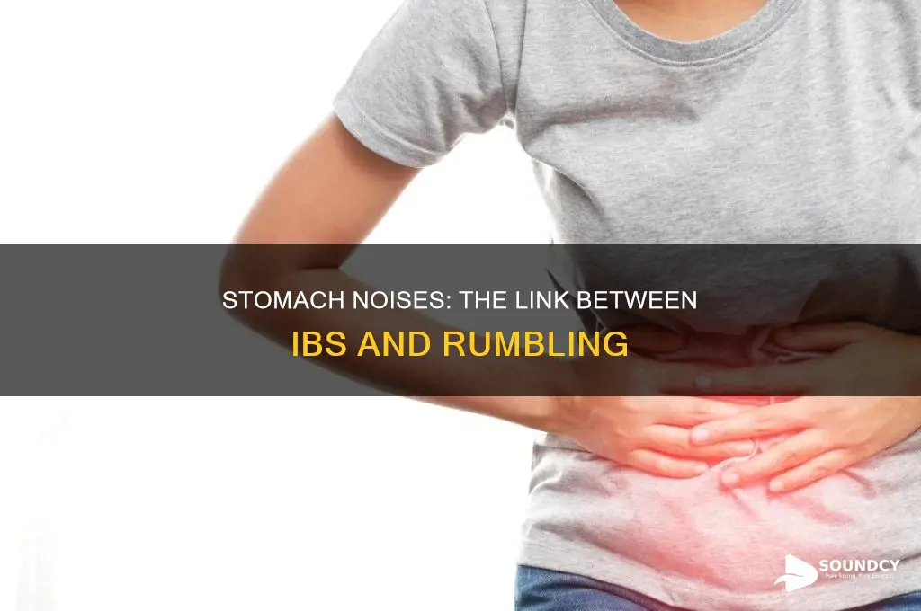 does ibs cause sound in stomach