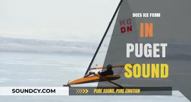 Ice Formation in Puget Sound: Is It Possible?