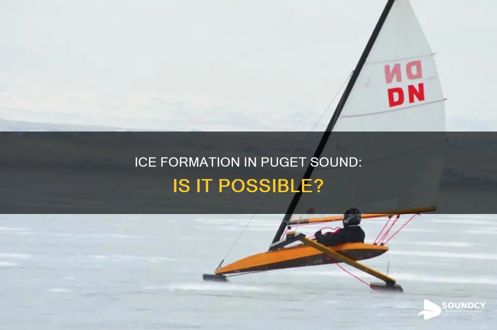 does ice form in puget sound