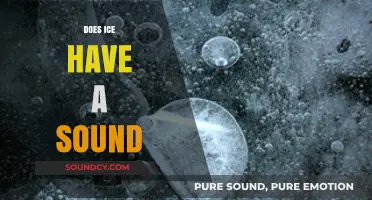 Does Ice Have a Sound? Exploring the Acoustic Secrets of Frozen Water
