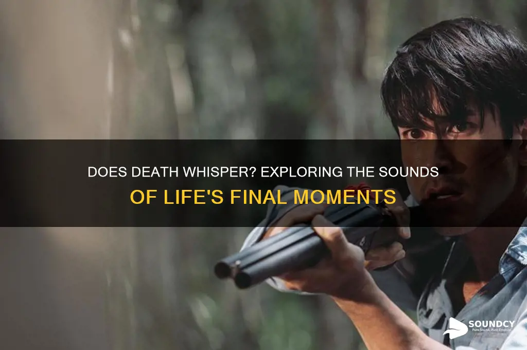 does in death have sound