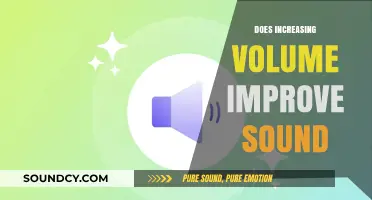 Does Louder Mean Better? Exploring Volume's Impact on Sound Quality