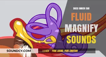 How Inner Ear Fluid Amplifies Sounds