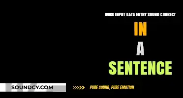 Does Input Data Entry Sound Correct? A Sentence Structure Guide