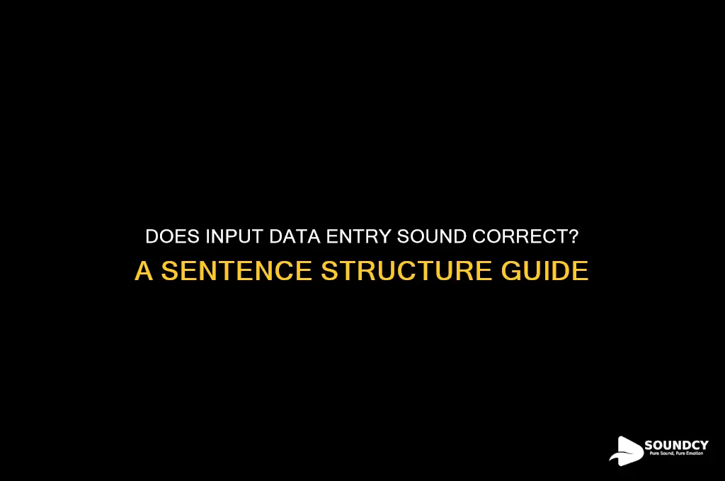 does input data entry sound correct in a sentence