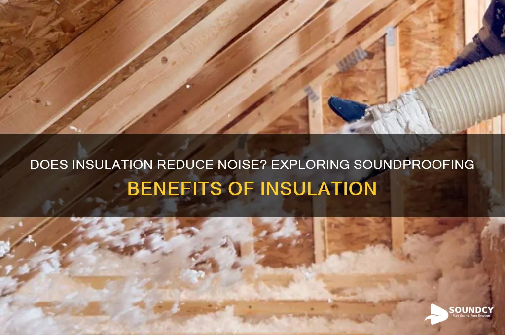 does insulation also dull sounds