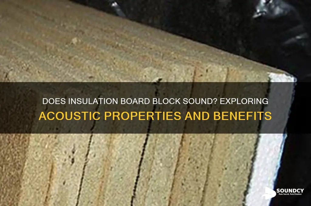 does insulation board block sound