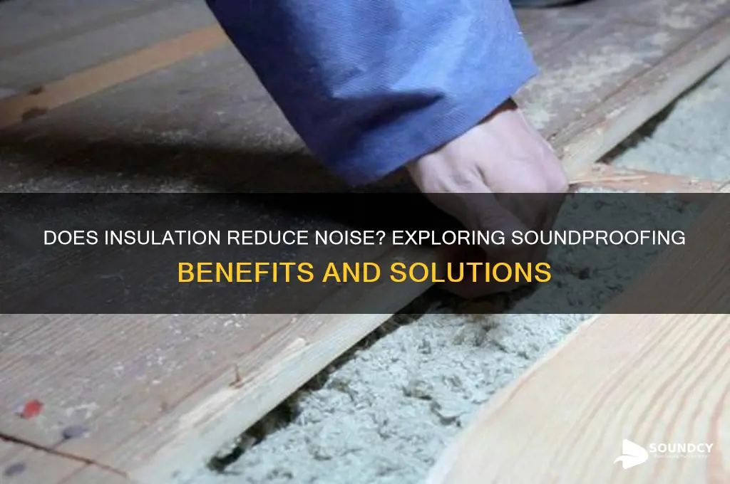 does insulation help with sound