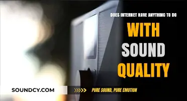 Internet's Impact on Sound Quality: Myth or Reality?