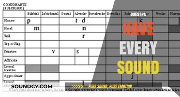 Exploring IPA: Does the International Phonetic Alphabet Capture Every Sound?