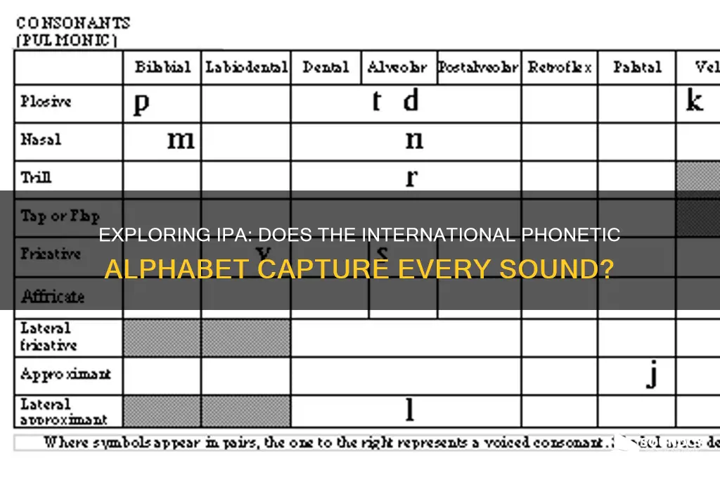 does ipa have every sound