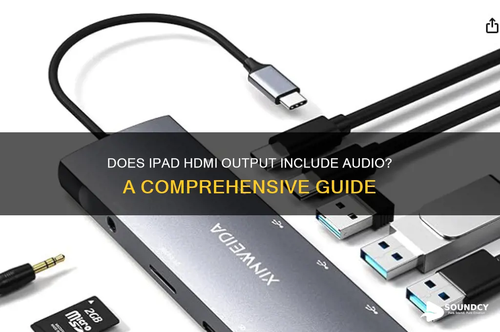 does ipad hdmi have sound