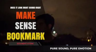 Does It Look Right, Sound Right, Make Sense? Bookmark These Tips