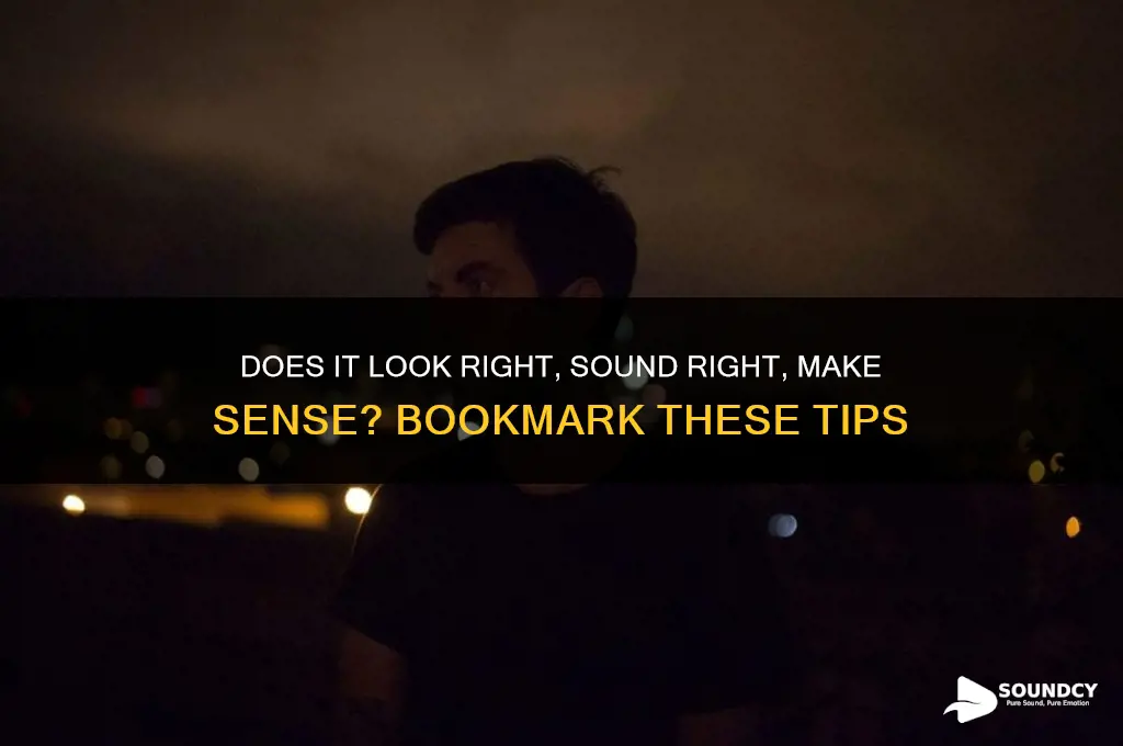 does it look right sound right make sense bookmark