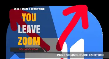 Does Zoom Make a Sound When You Leave? Exploring the Exit Noise