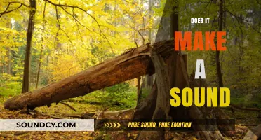 Does a Falling Tree Make a Sound? Exploring the Science and Philosophy