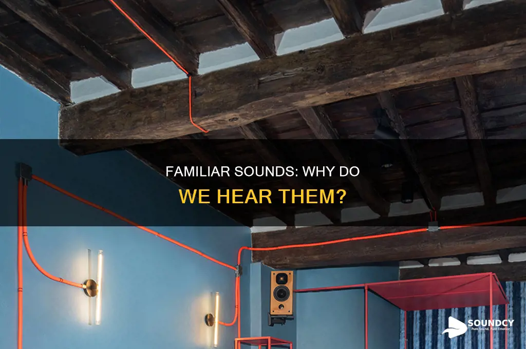 does it sound familiar to you