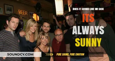 Does It Sound Like I'm Sick? It's Always Sunny Misquotes Explained