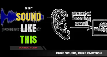 Does It Sound Like This? Exploring the Nuances of Auditory Perception