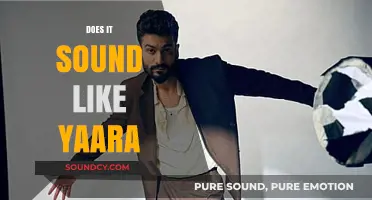 Does It Sound Like Yaara? Exploring the Unique Musical Identity