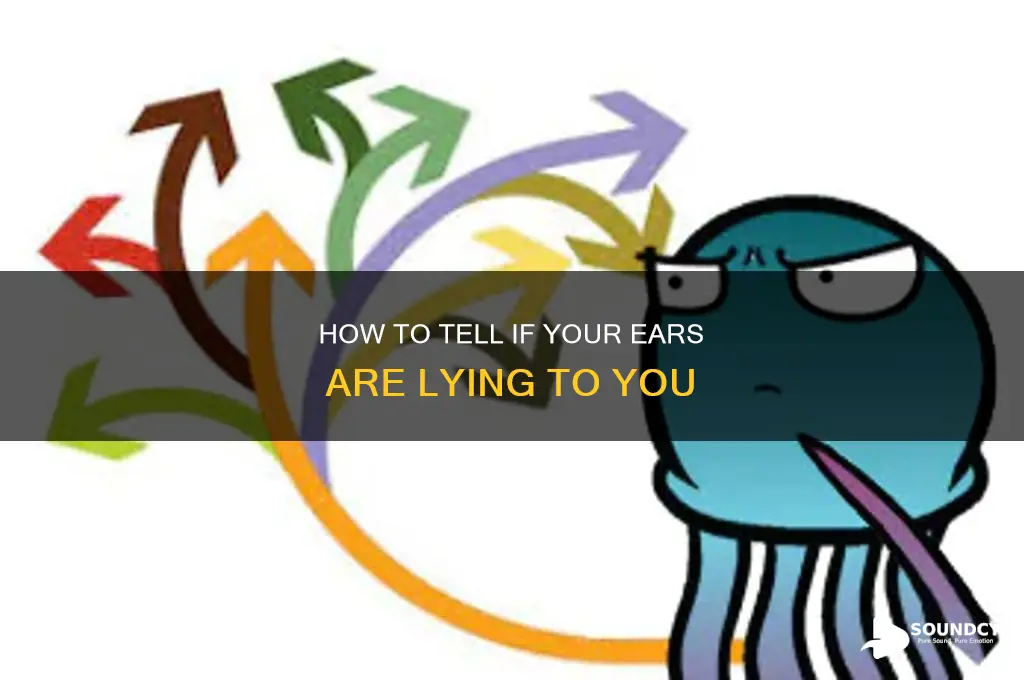 does it sound ok to you