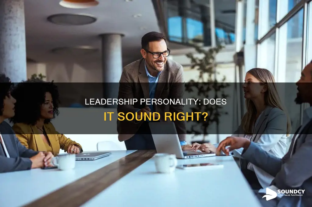 does it sound right leadership personality