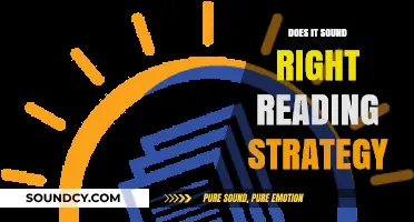 Reading Strategies: Does it Sound Right?