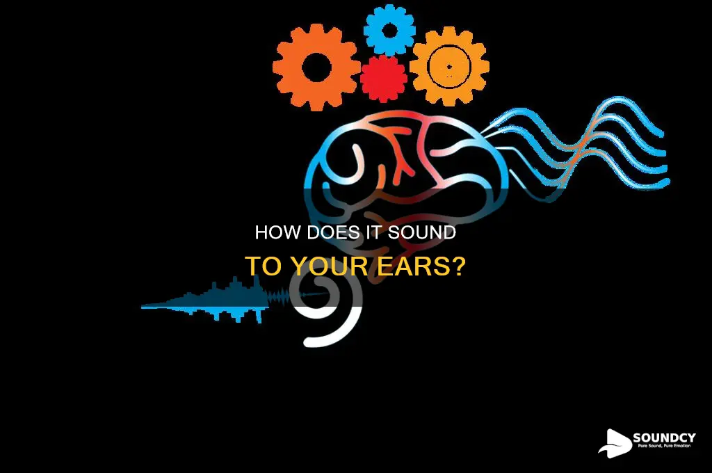 does it sound right to you