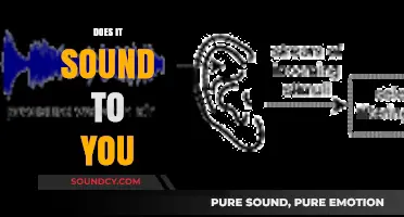 Does It Sound Right? Exploring the Nuances of Auditory Perception