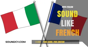 Italian vs. French: Unraveling the Linguistic Similarities and Differences
