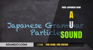 How to Master the Japanese 'U' Sound