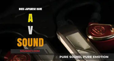 Japanese Language: The Elusive V Sound