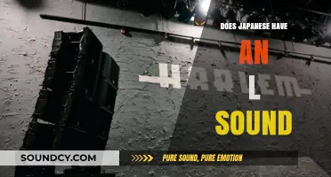 Japanese 'L' Sound: Is It Really There?