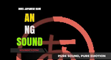 How to Pronounce the Japanese 'NG' Sound