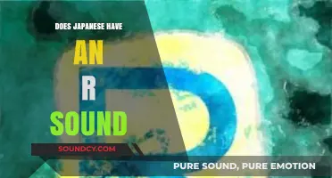 Japanese 'R' Sound: Unique and Distinctive