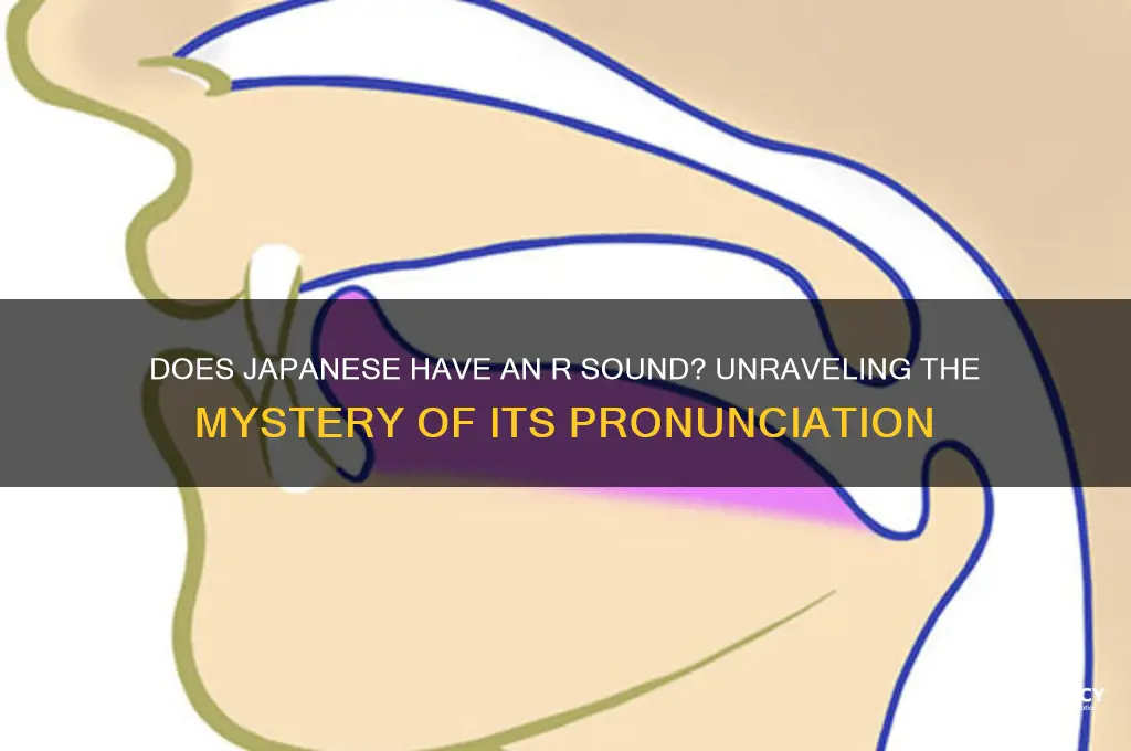 does japanese have r sound