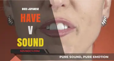 Does Japanese Have a V Sound? Exploring Phonetics and Pronunciation