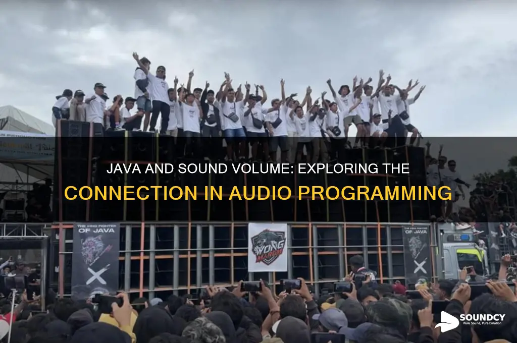 does java have anything to do with sound volume
