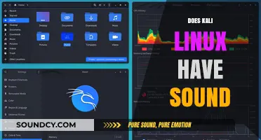Does Kali Linux Have Sound? Exploring Audio Functionality in Kali