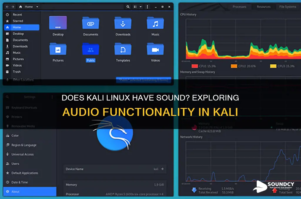 does kali linux have sound