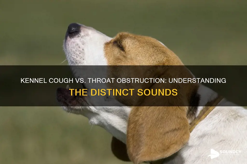 does kennel cough sound like something stuck in throat