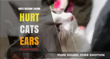 How Kissing Sounds Affect Cats' Ears