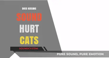 Does Kissing Sound Hurt Cats? Understanding Feline Reactions to Noises